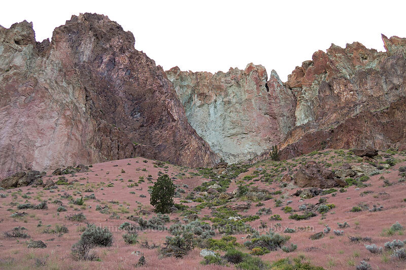 bluish rocks [River Trail, Smith Rock State Park, Deschutes County, Oregon]