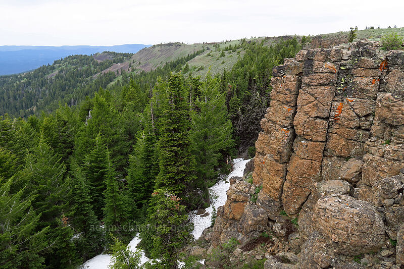 west rim of Lookout Mountain [Line Butte Tie Trail, Ochoco National Forest, Crook County, Oregon]