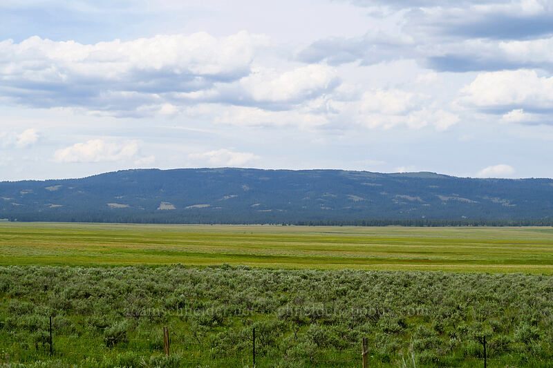 Big Summit Prairie [Forest Road 30, Big Summit Prairie, Crook County, Oregon]