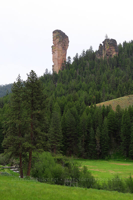 Stein's Pillar [Mill Creek Road, Crook County, Oregon]