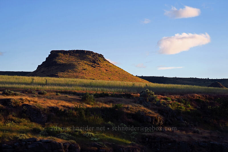 butte in Devil's Halfacre [White River Falls State Park, Wasco County, Oregon]