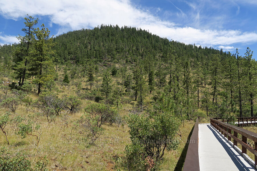 Eight Dollar Mountain [Eight Dollar Mountain Botanical Wayside, Rogue River-Siskiyou National Forest, Josephine County, Oregon]