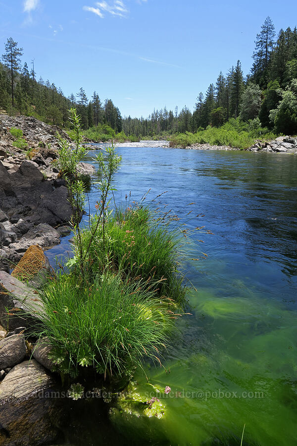 Illinois River [Eight Dollar Bridge, Rogue River-Siskiyou National Forest, Josephine County, Oregon]