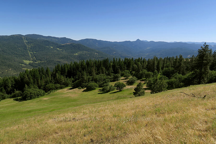 view to the south [Greensprings Mountain Loop Trail, Cascade-Siskiyou National Monument, Jackson County, Oregon]
