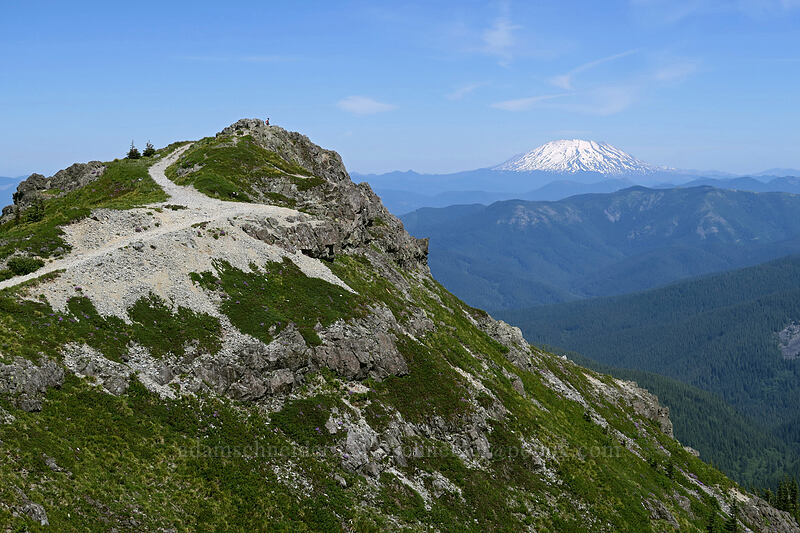 Silver Star's summit & Mt. St. Helens [Silver Star Mountain, Gifford Pinchot National Forest, Skamania County, Washington]