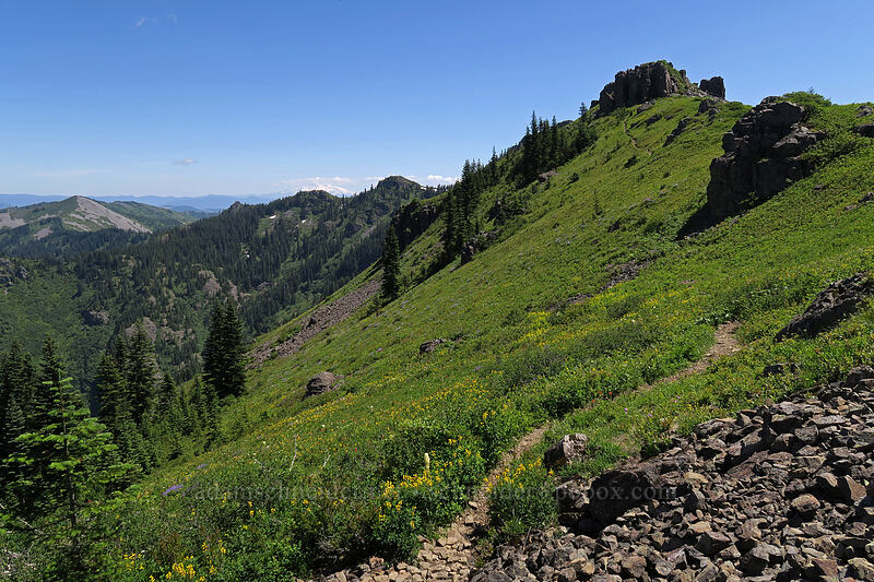 Silver Star Mountain [Ed's Trail, Gifford Pinchot National Forest, Skamania County, Washington]