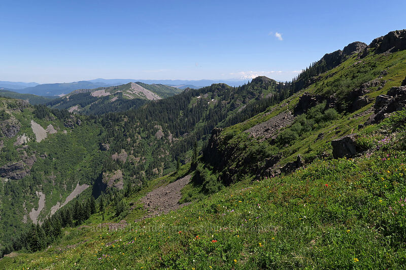 Silver Star Mountain & Star Creek Valley [Ed's Trail, Gifford Pinchot National Forest, Skamania County, Washington]