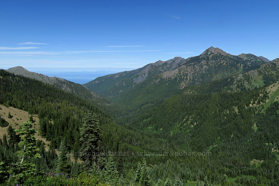 Mount Angeles & Little River Valley [Hurricane Hill Trail, Olympic National Park, Clallam County, Washington]