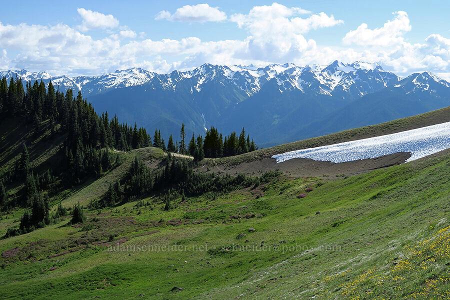 mountains to the southwest [Hurricane Hill, Olympic National Park, Clallam County, Washington]