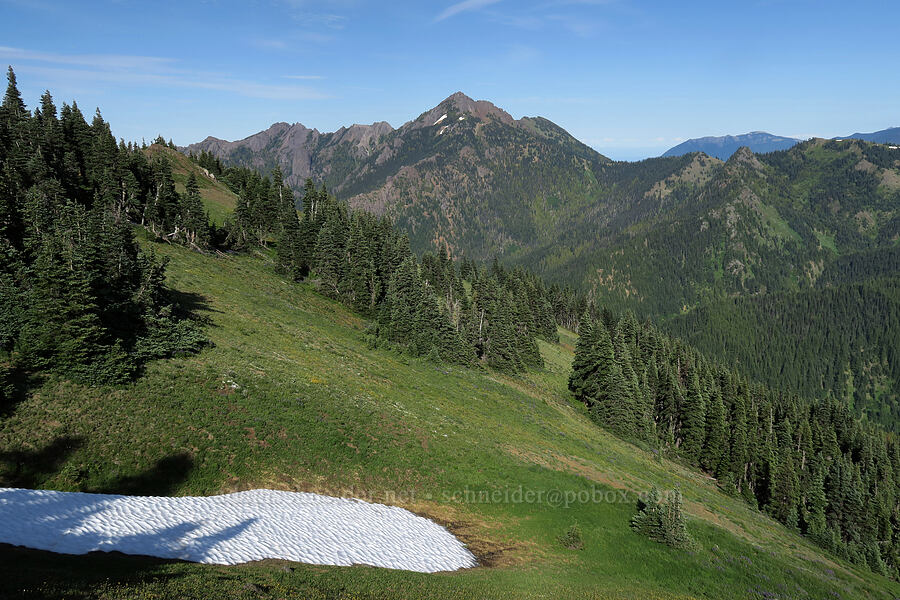 Mount Angeles & Sunrise Ridge [Hurricane Hill, Olympic National Park, Clallam County, Washington]