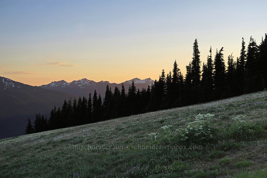 sunset [Hurricane Ridge, Olympic National Park, Clallam County, Washington]