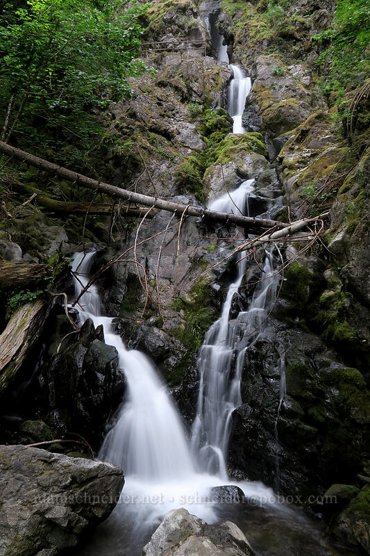 Rodney Falls [Hamilton Mountain Trail, Beacon Rock State Park, Skamania County, Washington]