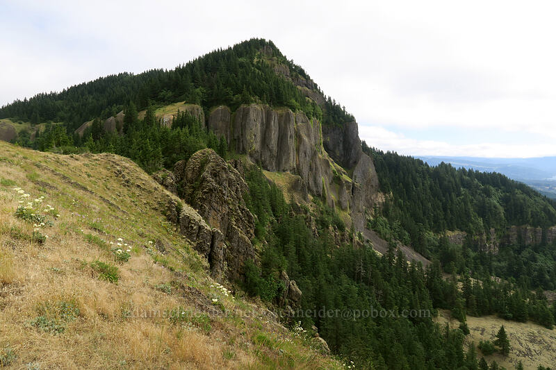 Hamilton Mountain's summit [Little Hamilton Mountain, Beacon Rock State Park, Skamania County, Washington]