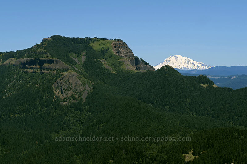 Table Mountain & Mt. Adams [Hamilton Mountain Trail, Beacon Rock State Park, Skamania County, Washington]