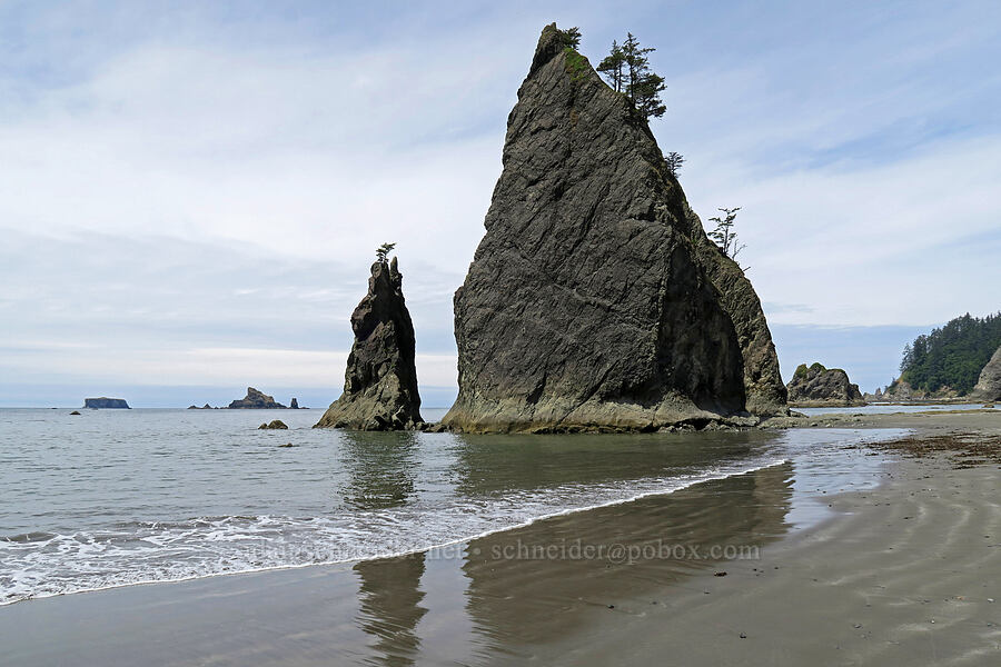 sea stacks [Rialto Beach, Olympic National Park, Clallam County, Washington]