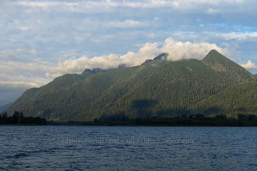 Mount O'Neil, Wooded Peak, & Lake Quinalt [July Creek Picnic Area, Olympic National Park, Grays Harbor County, Washington]