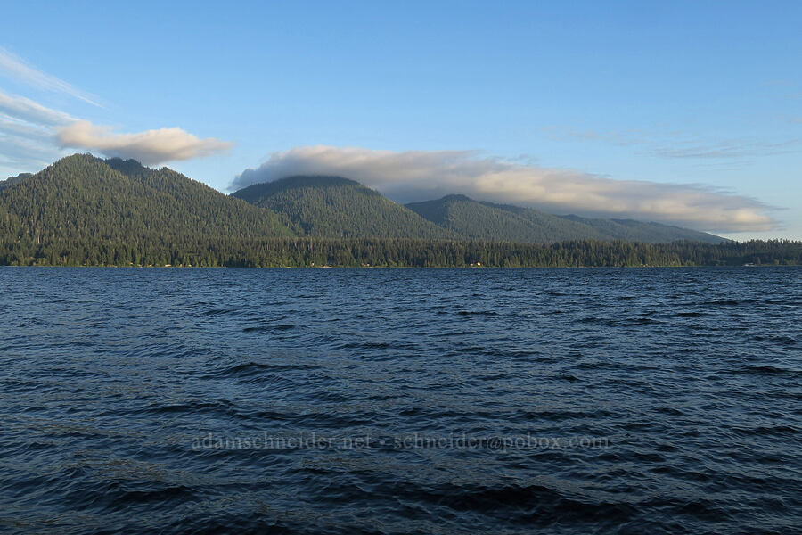 Lake Quinalt [July Creek Picnic Area, Olympic National Park, Grays Harbor County, Washington]