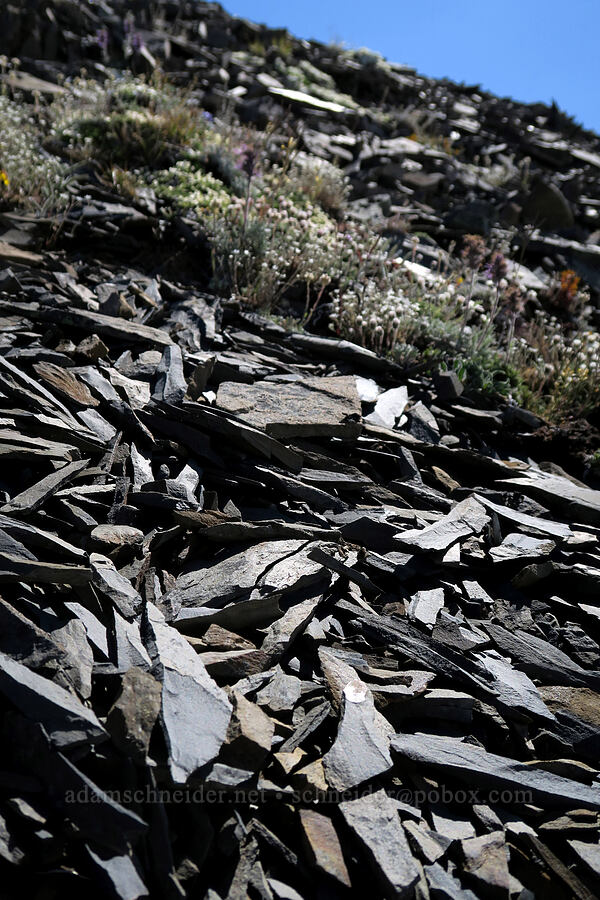 shattered rock [Grand Pass Trail, Olympic National Park, Clallam County, Washington]