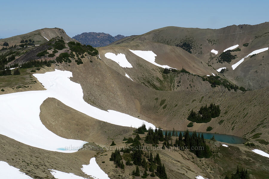 tarn at 6110 feet [Peak 6536, Olympic National Park, Clallam County, Washington]