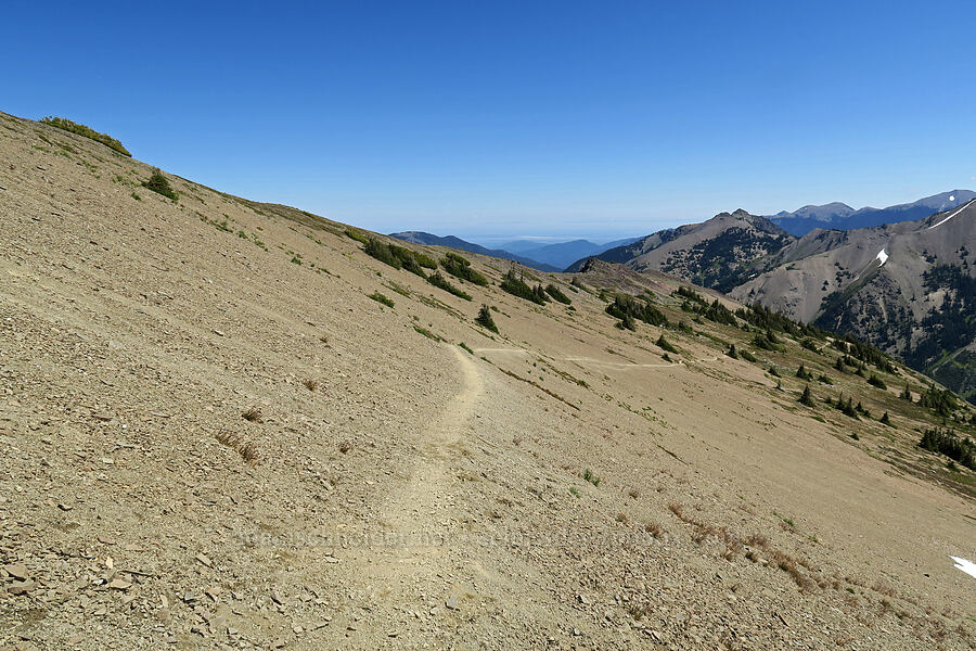 dry alpine slope [Grand Pass Trail, Olympic National Park, Clallam County, Washington]