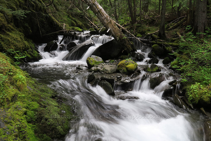flowy water [Badger Valley Trail, Olympic National Park, Clallam County, Washington]