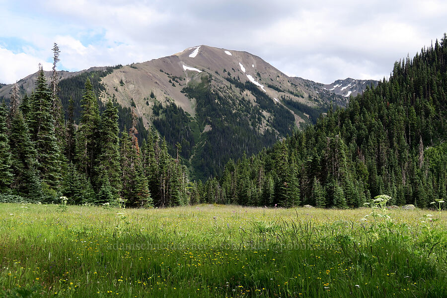Badger Valley [Badger Valley Trail, Olympic National Park, Clallam County, Washington]