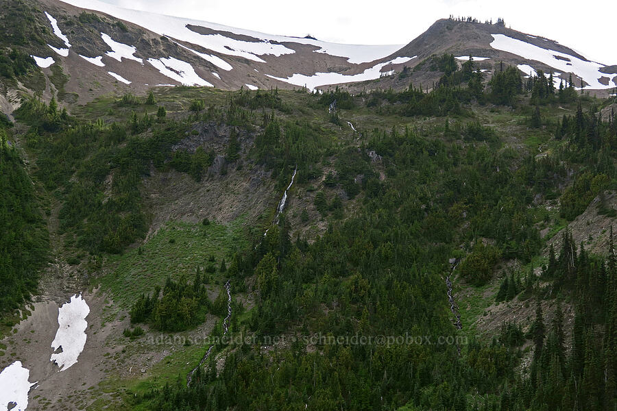 waterfalls in Badger Valley [Badger Valley Trail, Olympic National Park, Clallam County, Washington]