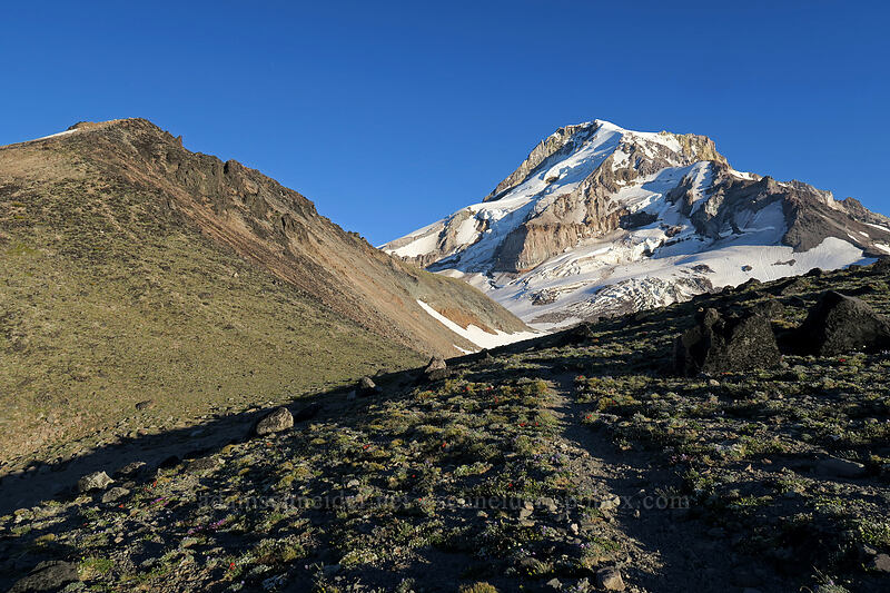 Barrett Spur & Mount Hood [below Barrett Spur, Mt. Hood Wilderness, Hood River County, Oregon]