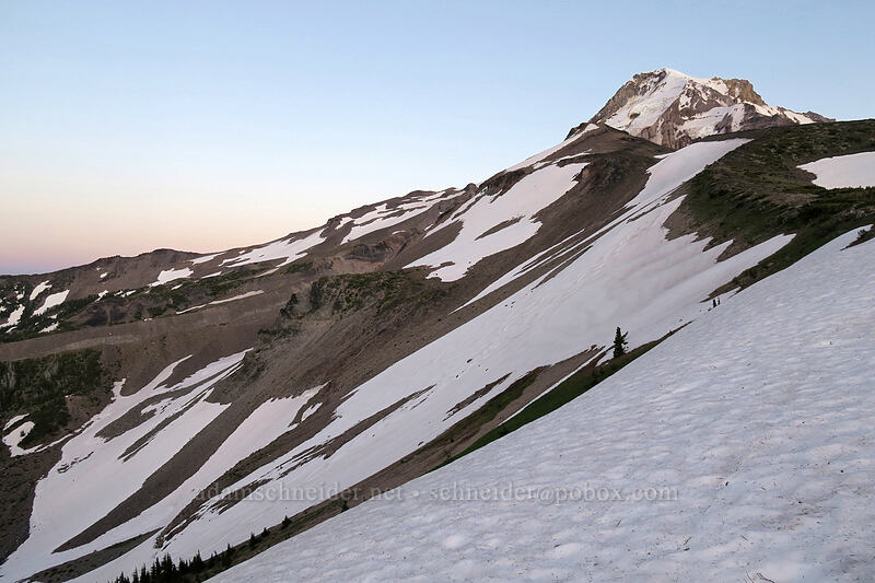 snowfields above Elk Cove [above Dollar Lake, Mt. Hood Wilderness, Hood River County, Oregon]