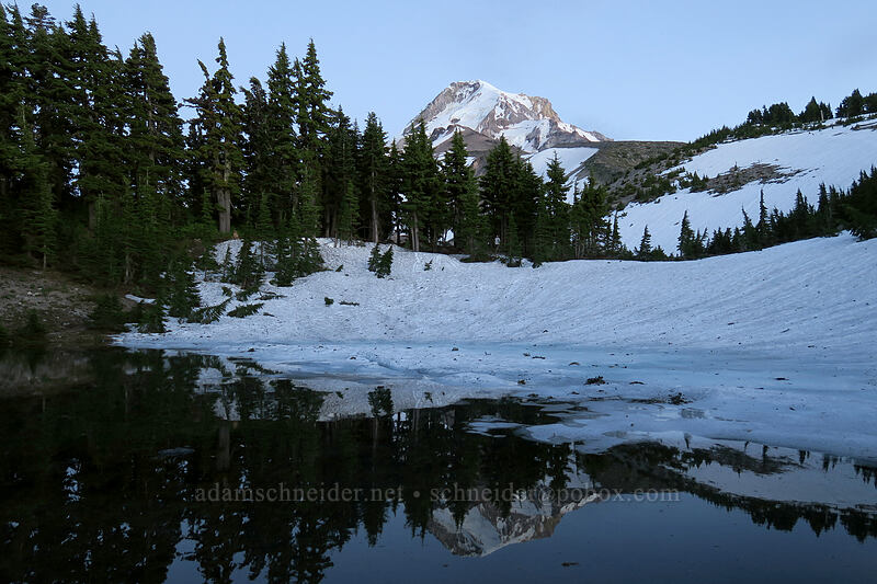 Dollar Lake & Mount Hood [Dollar Lake, Mt. Hood Wilderness, Hood River County, Oregon]