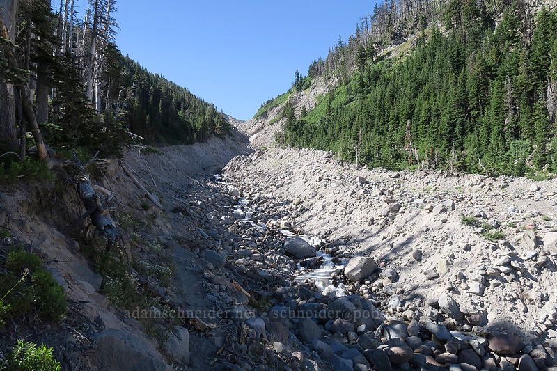 new Eliot Creek crossing [Timberline Trail, Mt. Hood National Forest, Hood River County, Oregon]
