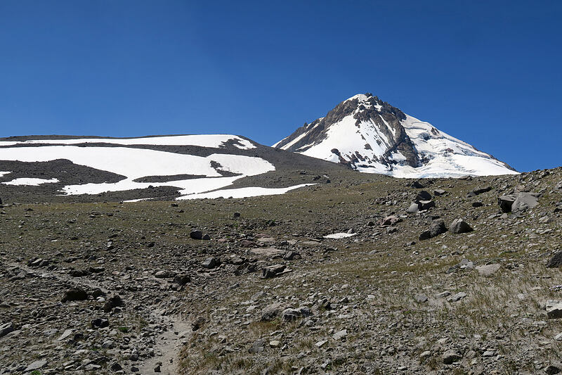 Mount Hood & Cooper Spur [Timberline Trail, Mt. Hood Wilderness, Hood River County, Oregon]