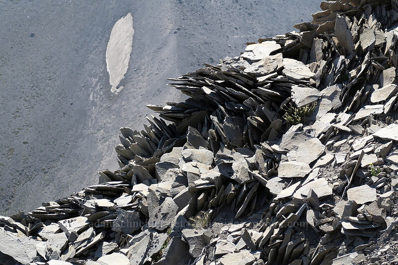 folded and broken rock [Gnarl Ridge, Mt. Hood Wilderness, Hood River County, Oregon]