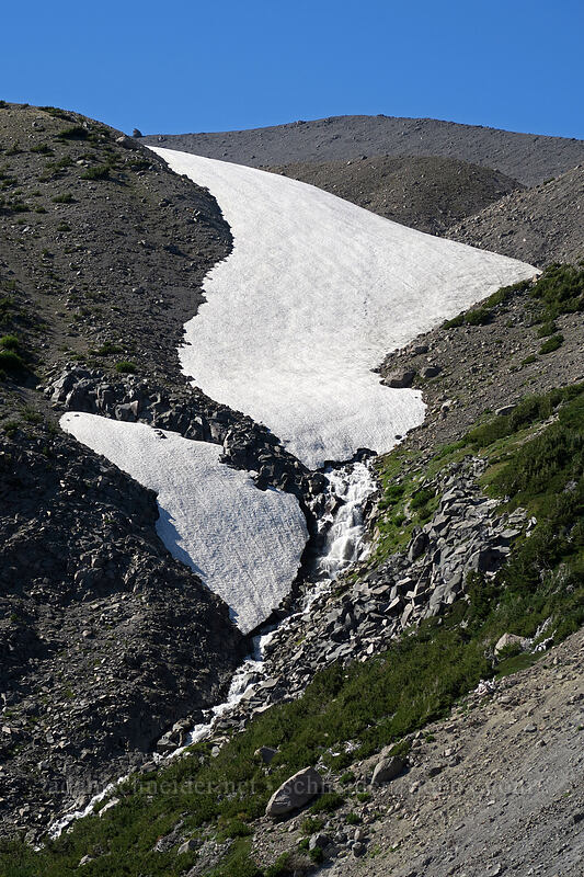 waterfall below a snowfield [Timberline Trail, Mt. Hood Wilderness, Hood River County, Oregon]