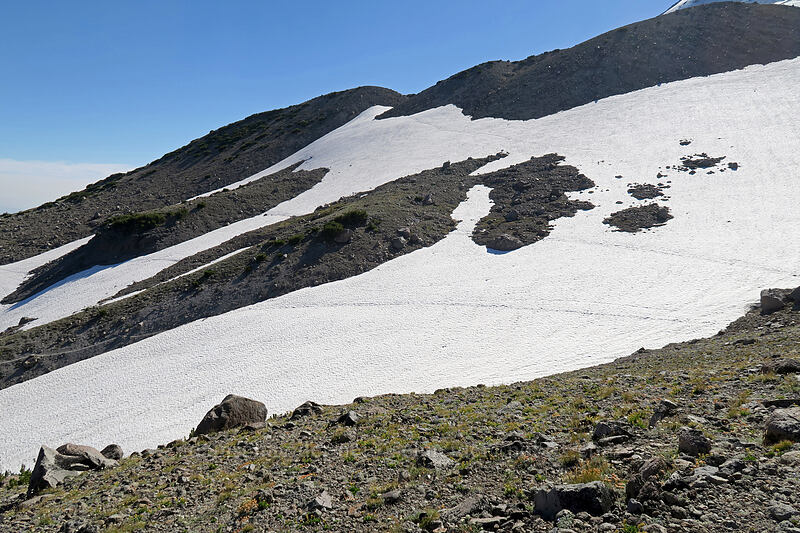 snowfields [Timberline Trail, Mt. Hood Wilderness, Hood River County, Oregon]