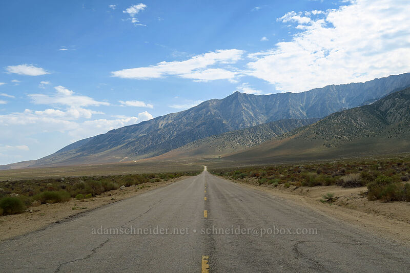 Wonoga Peak [Horseshoe Meadows Road, Inyo County, California]