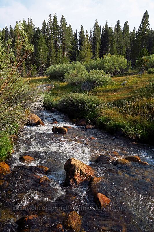 Cottonwood Creek [Horseshoe Meadows Road, Golden Trout Wilderness, Inyo County, California]