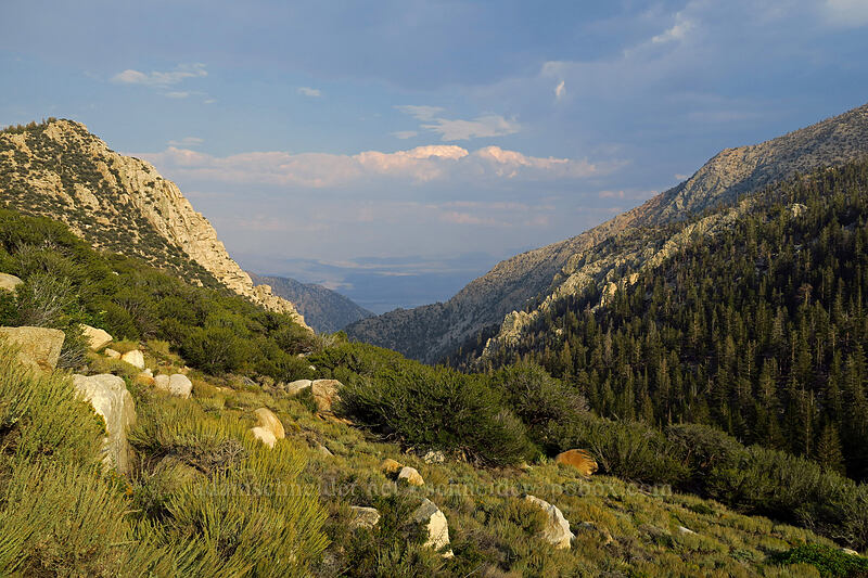 storms & mountains [Horseshoe Meadows Road, Inyo National Forest, Inyo County, California]