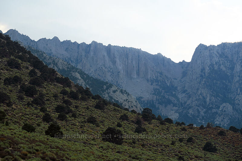 vertical ridge west of Wonoga Peak [Horseshoe Meadows Road, Inyo County, California]