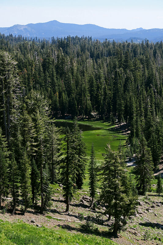 Cold Boiling Lake [Bumpass Hell Trail, Lassen Volcanic National Park, Shasta County, California]