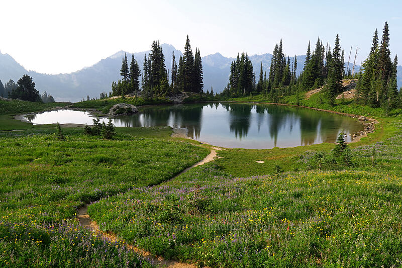 pond [Naches Loop Trail, William O. Douglas Wilderness, Yakima County, Washington]