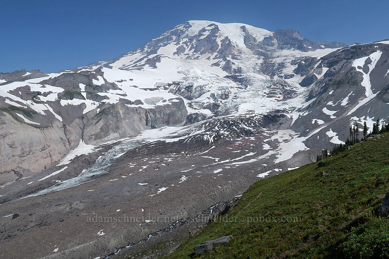 Mt. Rainier & Nisqually Glacier [Glacier Vista Trail, Mount Rainier National Park, Pierce County, Washington]