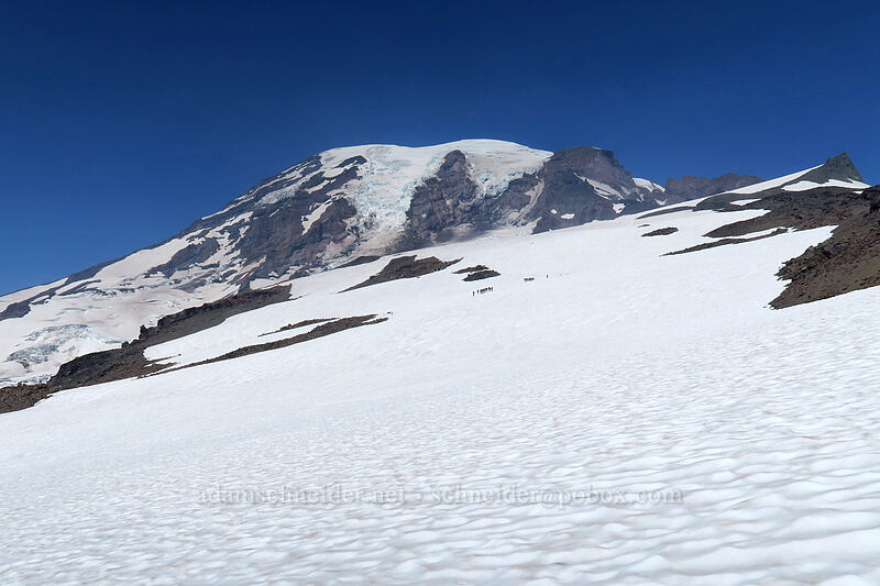 Muir Snowfield [above Paradise, Mount Rainier National Park, Pierce County, Washington]