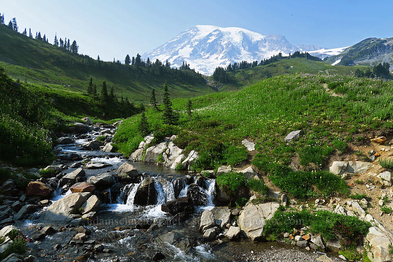 Mt. Rainier & Edith Creek [Golden Gate Trail, Mount Rainier National Park, Pierce County, Washington]