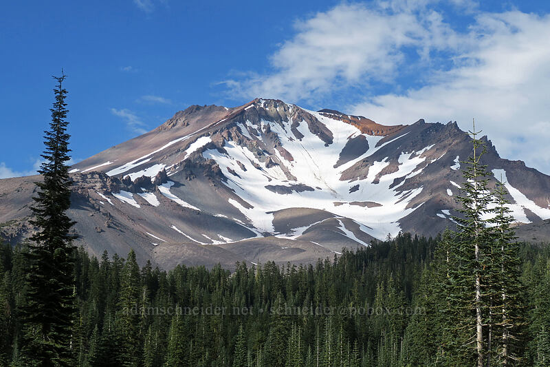 Mount Shasta [Bunny Flat, Shasta-Trinity National Forest, Siskiyou County, California]