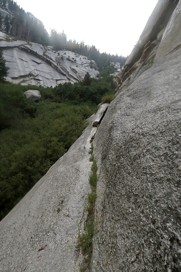 approaching Elephant's Ear [Mt. Whitney Mountaineer's Route, John Muir Wilderness, Inyo County, California]