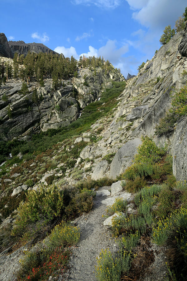 approach to Lower Boy Scout Lake [Mt. Whitney Mountaineer's Route, John Muir Wilderness, Inyo County, California]