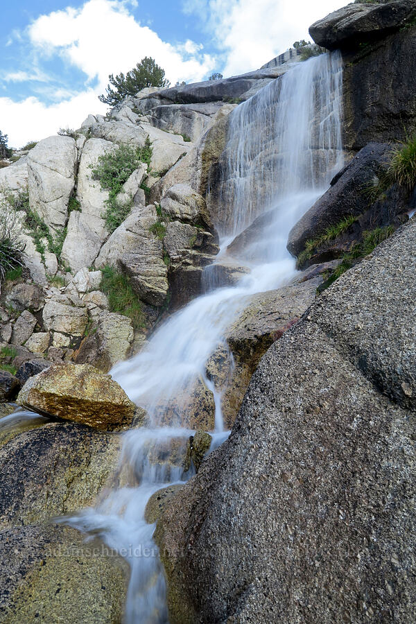 trailside waterfall [Mt. Whitney Mountaineer's Route, John Muir Wilderness, Inyo County, California]