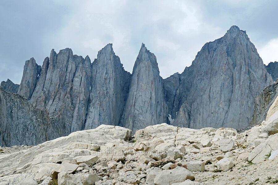 needles & Mount Whitney [Mt. Whitney Mountaineer's Route, John Muir Wilderness, Inyo County, California]