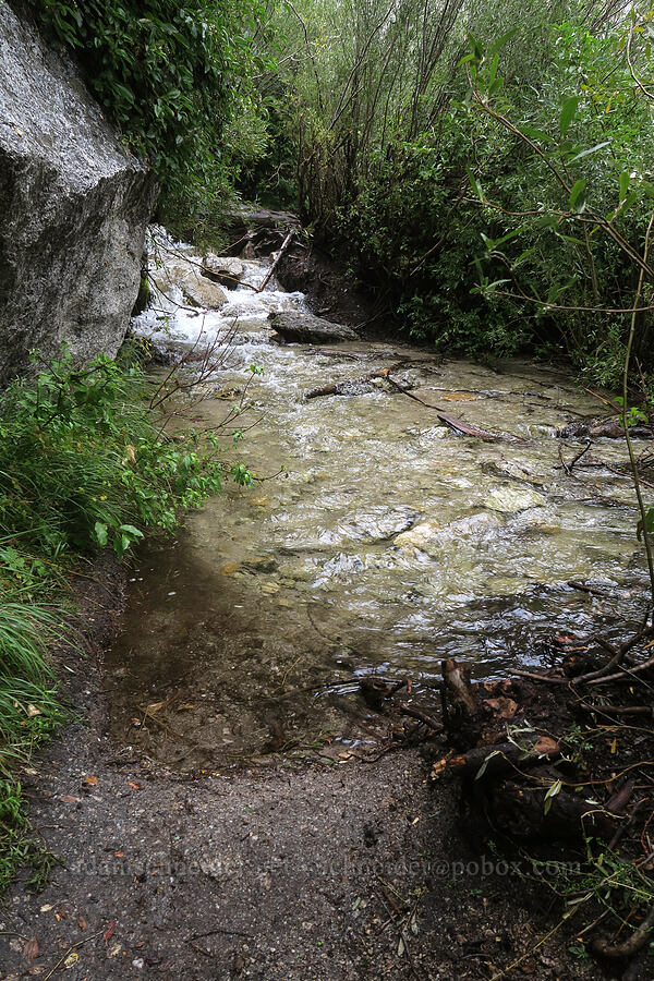 difficult creek crossing [Mt. Whitney Mountaineer's Route, John Muir Wilderness, Inyo County, California]